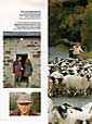 ref 4
