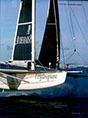 ref 7
